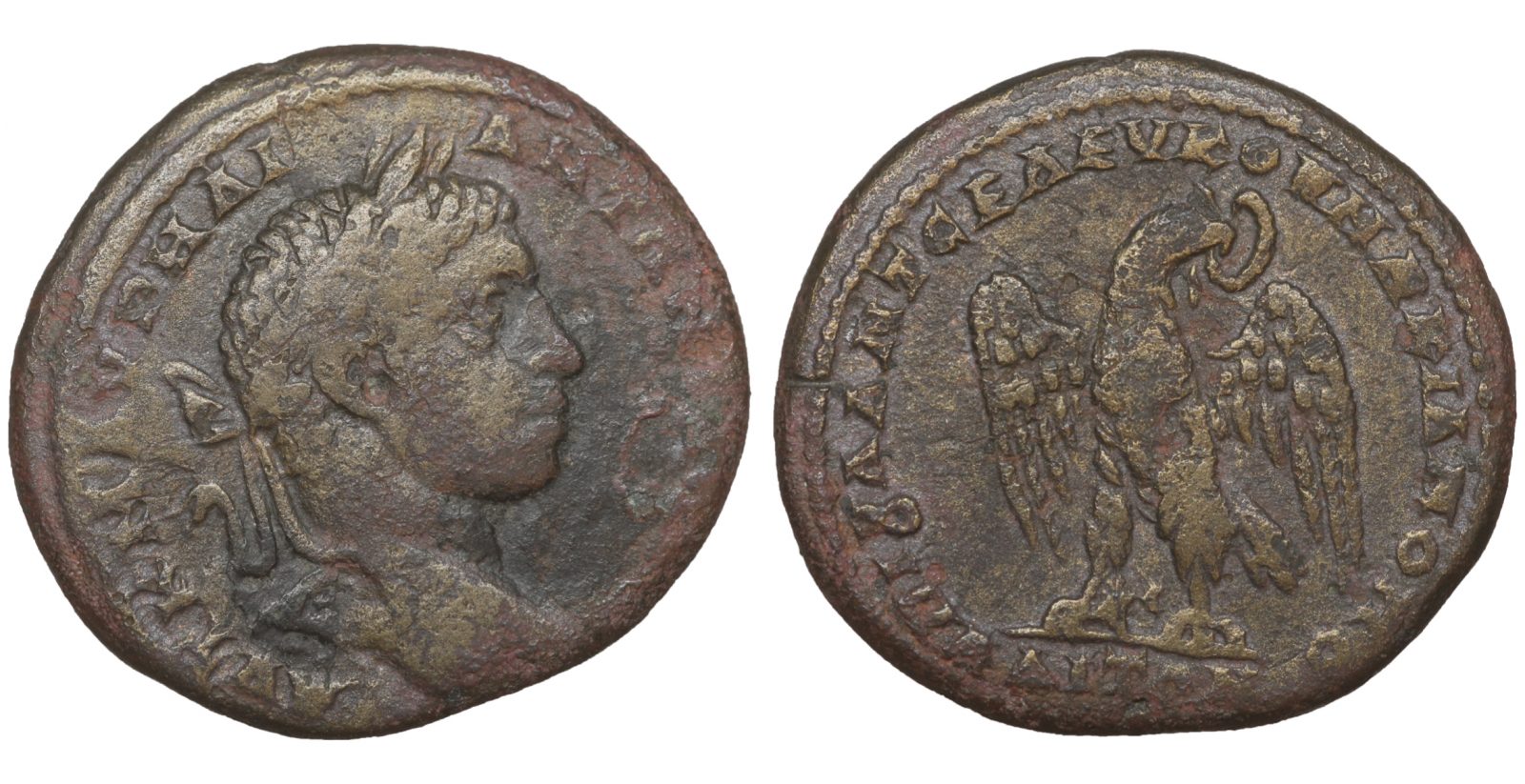 roman provincial bronze coin